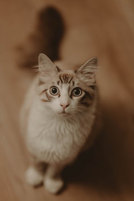 Cute Pets - Charming vertical portrait of a fluffy, curious- #11289237