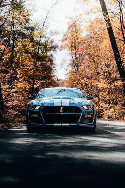 Luxury Cars - Front view of a blue Ford Mustang Shelby on a fo #14270757
