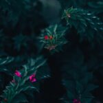 Flowers & Plants - A captivating close-up of lush garden foliage wi #14462453