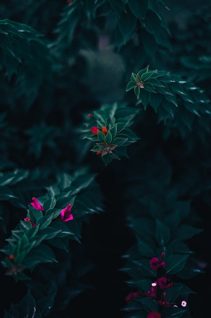 Flowers & Plants - A captivating close-up of lush garden foliage wi #14462453