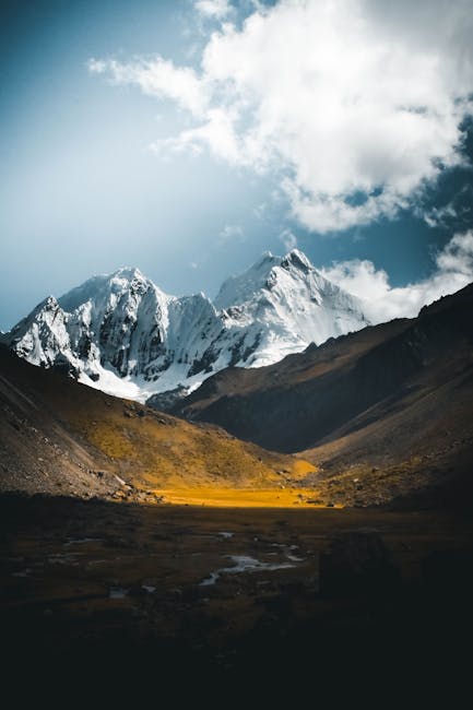 Mountain Landscapes - Stunning snowy peaks and a yellow meadow under a #18046508