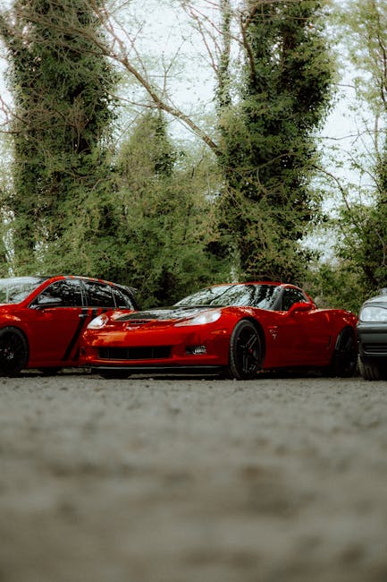 Luxury Cars - Vibrant red sports car parked in lush outdoor se #31727903