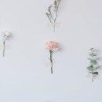 Flowers & Plants - Blossoming carnation and white Chrysanthemum amo #6913388