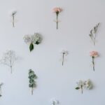 Flowers & Plants - White wall with thin twigs and colorful roses ne #6913768