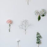 Flowers & Plants - Composition of white and pink fresh flower twig  #6913844