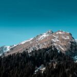 Mountain Landscapes - Coniferous woods with green trees growing near r #7137601