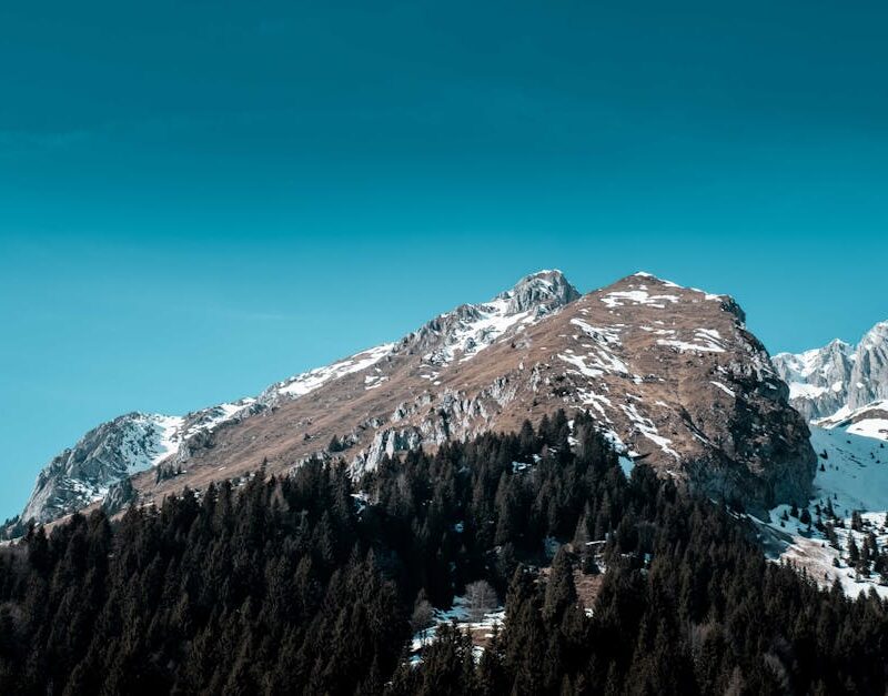 Mountain Landscapes - Coniferous woods with green trees growing near r #7137601